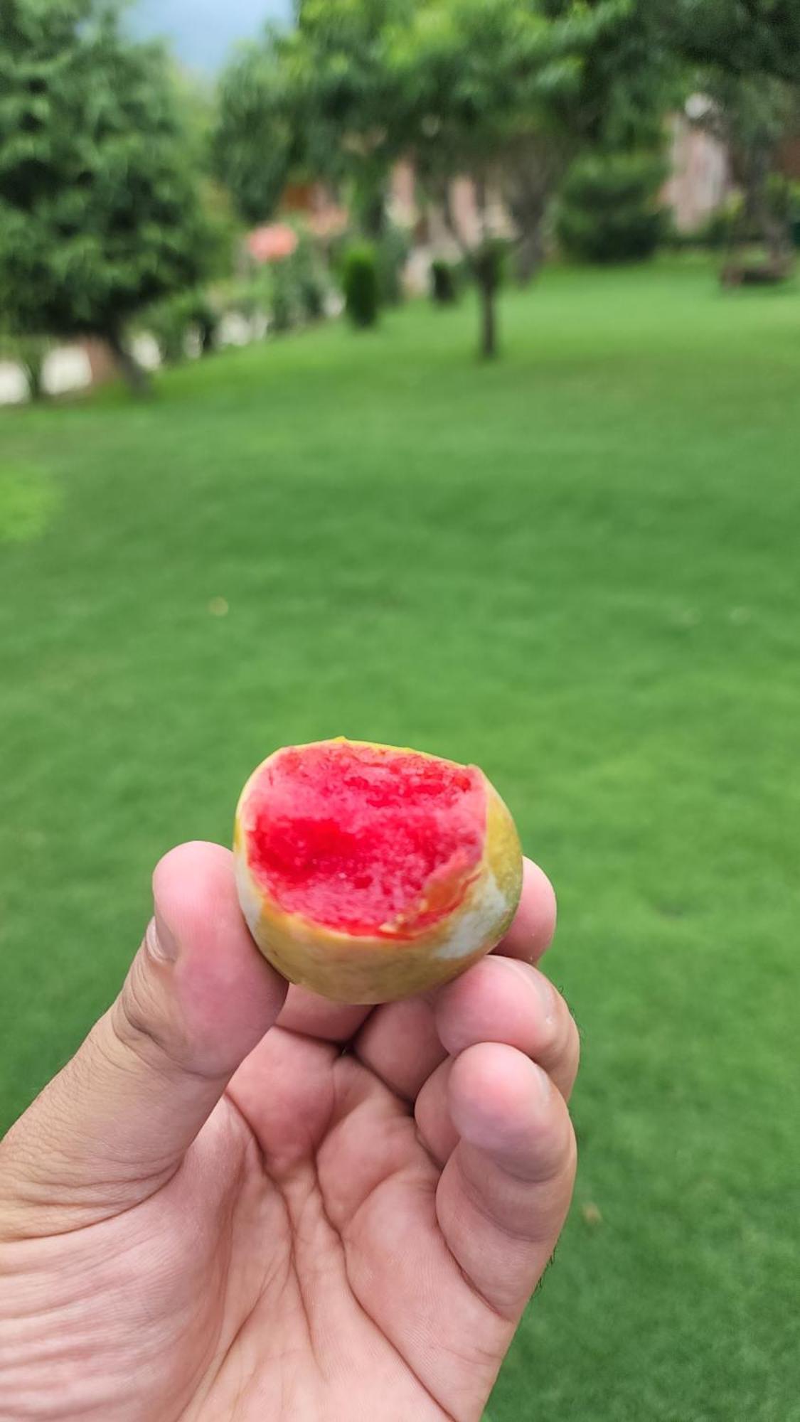 果园休闲水疗酒店 Srīnagar 外观 照片